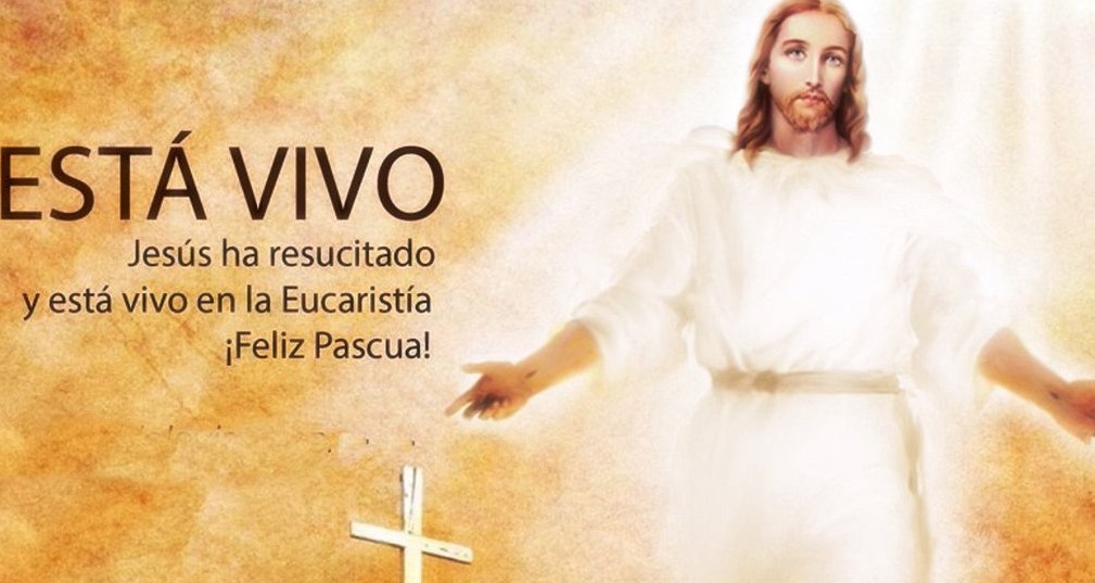 El Arzobispo de Bogot\u00e1, Cardenal, Luis Jos\u00e9 Rueda Aparicio, env\u00eda un mensaje a todos los colombianos para tener en cuenta, como vivencia, la Resurrecci\u00f3n de Cristo Jes\u00fas. 