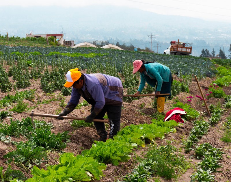 El objetivo: La democratizaci\u00f3n del cr\u00e9dito para mejorar la productividad, avanzar hacia el Hambre Cero y contribuir a que Colombia se convierta en potencia mundial de alimentos. 