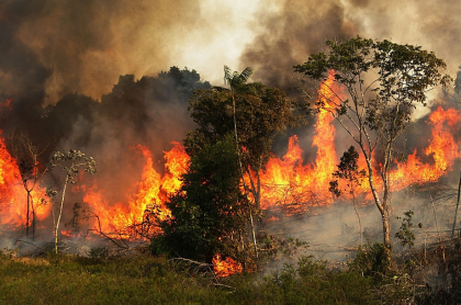 El Amazonas está en llamas. El corazón de Sudamérica se quema a un ritmo récord y el fuego también es noticia en el mundo.