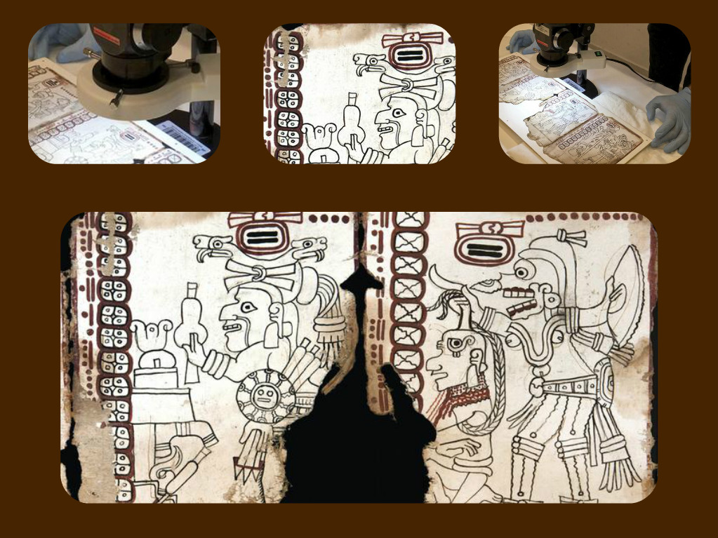 El Códice Maya de México "es auténtico y se ostenta como el manuscrito prehispánico legible más antiguo del continente americano. 