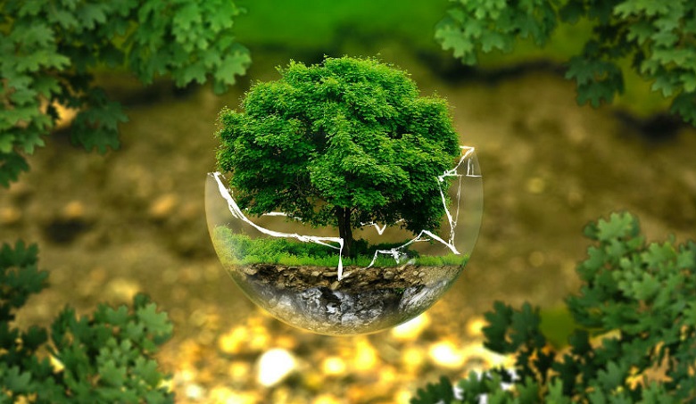 “La realidad ambiental de nuestro país presenta toda una gama de carencias que aún la política pública no ha logrado corregir”.