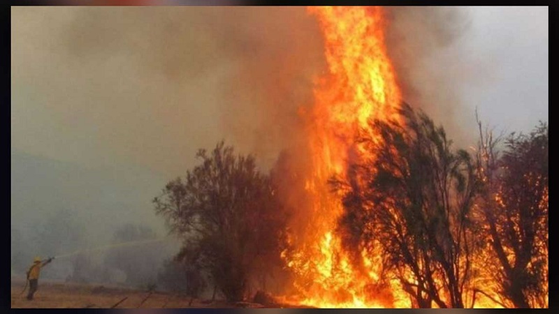 Más de 7.000 hectáreas de bosque están siendo arrasadas por un incendio registrado en la Patagonia Argentina, más precisamente en Cuesta del Ternero, en la localidad de El Bolsón, Provincia de Río Negro, confirmaron fuentes del Ministerio de Ambiente a la agencia Télam.  