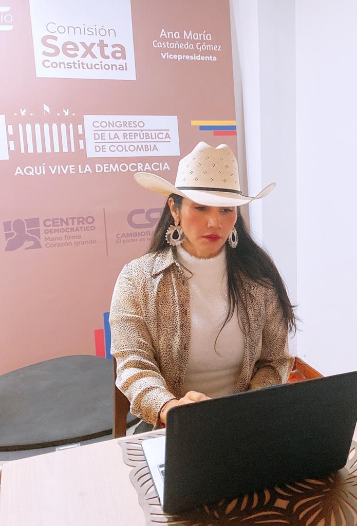 Con el propósito de incentivar el desarrollo y la promoción de la competitividad turística, se adelanta en el congreso una iniciativa que espera una exclusión transitoria del IVA para los servicios de hotelería y turismo hasta el 31 de diciembre de 2021, está será una de las medidas que hacen parte de un proyecto de ley que adelanta  la senadora Amanda Rocío González, presidenta de la comisión sexta del senado, la congresista señaló que esta ley permitirá una reducción del IVA del 19% al 5% en los tiquetes aéreos de pasajeros, servicios conexos y en la tarifa administrativa.